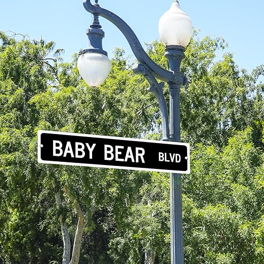 Customize Your Own Blue Street Sign by SmartSign | 18" x 4" Aluminum