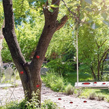 Hollowfly 10 Pcs Ladybugs Stones Decor for Outside Metal Ladybugs Art Lawn Ornaments 3 Size Lively Ladybug Holiday Yard Decorations Ladybug Gifts Mom Gifts Lady Bugs Yard Decorations