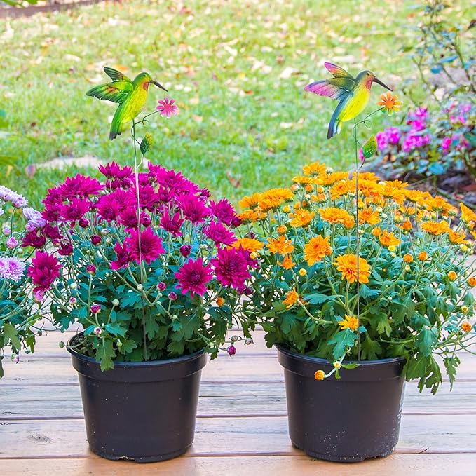 Hummingbird Metal Garden Stakes – 2 Pcs Vibrant Yard Decor with Colorful Design – Durable Lawn Outdoor Plant Picks for Flower Beds, Pathways, or Plant Pots – Great Gift for Garden & Nature Lovers