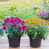 Hummingbird Metal Garden Stakes – 2 Pcs Vibrant Yard Decor with Colorful Design – Durable Lawn Outdoor Plant Picks for Flower Beds, Pathways, or Plant Pots – Great Gift for Garden & Nature Lovers