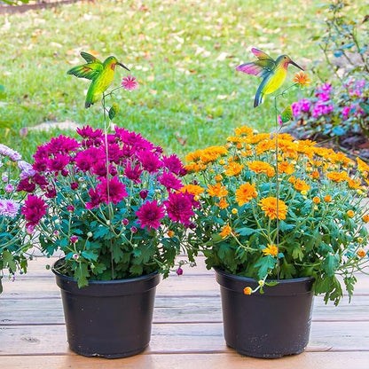 Hummingbird Metal Garden Stakes – 2 Pcs Vibrant Yard Decor with Colorful Design – Durable Lawn Outdoor Plant Picks for Flower Beds, Pathways, or Plant Pots – Great Gift for Garden & Nature Lovers