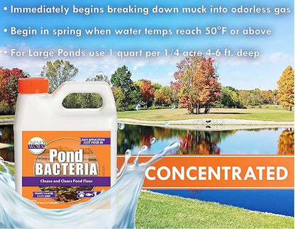 Pond Worx Pond Bacteria - Concentrated & Formulated for Large Ponds, Water Features - Safe for Koi - 32 Ounces & Treats up to a Quarter Acre Pond
