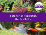Pondworx Pond Bacteria - Concentrated & Formulated for Water Features - Safe for Koi - 16 Ounces & Treats up to 2,500 gallons of Water