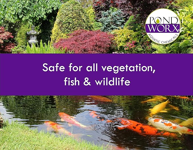 Pond Worx Pond Bacteria - Concentrated & Formulated for Large Ponds, Water Features - Safe for Koi - 32 Ounces & Treats up to a Quarter Acre Pond