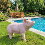 HOUDE Cute Pig Statues, 20.08 inches Long, decorates Outdoor Art Gardens, courtyards, lawns, and Indoor Public Spaces Such as Living Rooms and Balconies. (Pink)