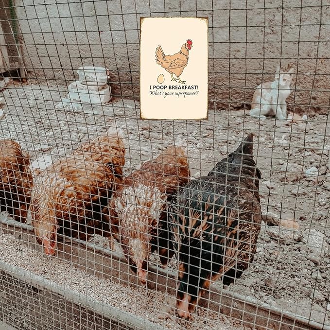Funny Chicken Sign, Metal Chicken Coop Tin Signs, I poop breakfast, Yard Sign Garage Farm Garden Wall Decor Sign Plaque Outdoor for Home Fence 8 X 12 Inches