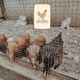 Funny Chicken Sign, Metal Chicken Coop Tin Signs, I poop breakfast, Yard Sign Garage Farm Garden Wall Decor Sign Plaque Outdoor for Home Fence 8 X 12 Inches