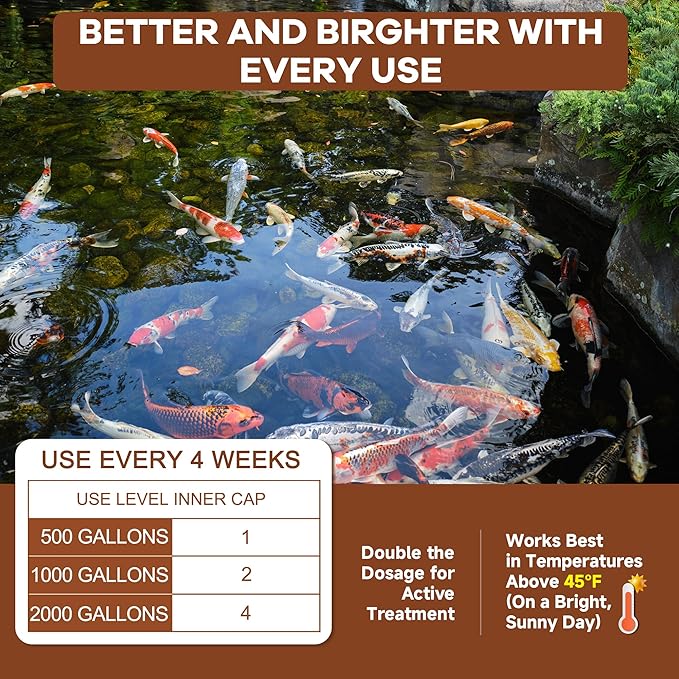 Dr.Raifya's Muck Reducer - 8 OZ - Natural Pond Sludge Solution, Effectively Removes Muck in Koi Pond, Bird Baths, Fountains & Turtle Ponds, Beneficial Bacteria Safe for Fish & Wildlife, Easy to Use