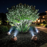 Solar Rock Lights Outdoor – 2 Pack Waterproof LED Landscape Garden Spotlights, Realistic Stone Design, Wireless Solar Powered Pathway Lights for Yard, Walkway, Patio & Lawn Decoration (Auto On/Off)