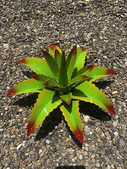 Mini Metal Agave - Garden Art (Cherry Lime)