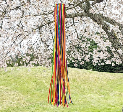 Madrona Brands Rainbow Ribbon Windsock | Durable Outdoor Hanging Decoration | Yard, Garden, Patio, Deck and More | 48-Inch11