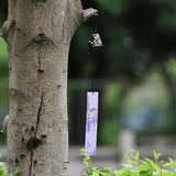 Japanese Wind Chime Cast-Iron Outdoor Ornament for Garden, Patio & Balcony, Hanging Metal Wind-Bell Decoration Gift, Blessing Pendant Windchimes & PVC Wind-Catcher, Bronze Frog