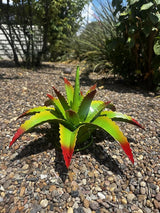 Mini Metal Agave - Garden Art (Cherry Lime)