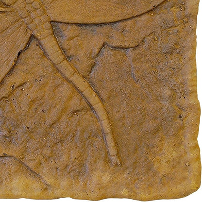 Athens Autumn Wheat Dragonfly Stepping Stone, 12” Square Concrete Garden Accent with Raised Dragonfly Design, Durable Outdoor Patio or Pathway Decor, Natural Brown Tones, Hand Cast Artisan Finish