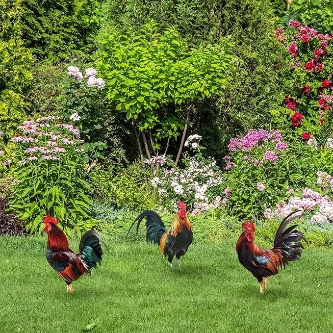 Soaoo 5 Pcs Acrylic Rooster Yard Decorations Outdoor Garden Chicken Statues Rooster Garden Decor Chicken Party Decorations for Outdoor Lawn