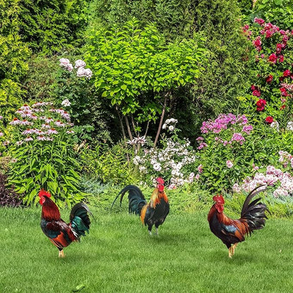 Soaoo 5 Pcs Acrylic Rooster Yard Decorations Outdoor Garden Chicken Statues Rooster Garden Decor Chicken Party Decorations for Outdoor Lawn