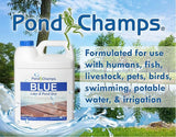 Blue Lake and Pond Dye - One Gallon of Professional Lake & Pond Dye - Treats Up to 1 Acre - Royal Blue Color - Safe for Fish, Wildlife, Pets & Children (Pack of 2)