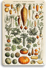 Vintage French Vegetables and Herb Garden Plants Metal Tin Yard Sign - Outdoor Plant Art Decor for Backyards, Greenhouse, Outside Patio Porch - Unique Wall Art Hanging Decor 8"x12" Gardening Gift for Women Plant Lovers