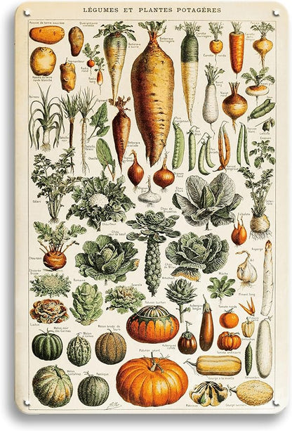 Vintage French Vegetables and Herb Garden Plants Metal Tin Yard Sign - Outdoor Plant Art Decor for Backyards, Greenhouse, Outside Patio Porch - Unique Wall Art Hanging Decor 8"x12" Gardening Gift for Women Plant Lovers