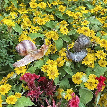 2pcs Snail Figurine Toy Mini Animal Figures for Fairy Garden, Mushrooms, Micro Landscape Decor(Mixed Color)