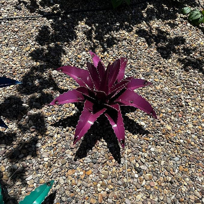 Mini Metal Agave - Garden Art (Purple)