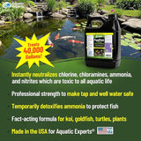 PondFirst Pond Water Conditioner - Concentrated Instant Dechlorinator for Fish Ponds, Makes Water Safe for Koi and Goldfish, Made in The USA, Aquatic Experts (Liquid - 2 Liters)
