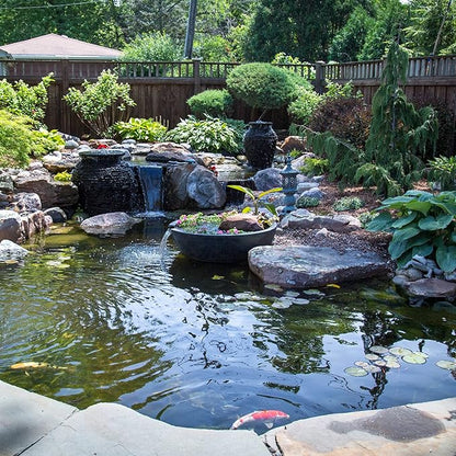 Aquascape Clean Fountain and Waterfall Water Treatment for Dosing System SL, 96095