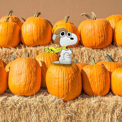 PRODUCTWORKS Peanuts Pumkin Press-in Icon Metal Stake Halloween Harvest Decor Porch Decorating Indoor Outdoor (Snoopy Flying Ace)