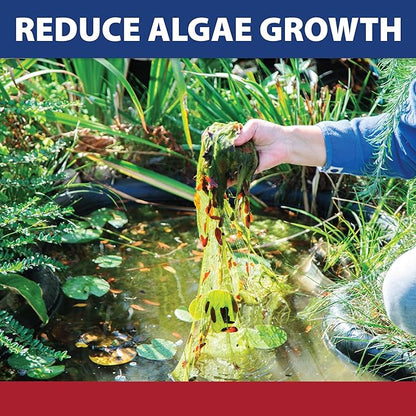 The Pond Guy InstaFix Algae Control, Outdoor Water Garden, Fountain & Birdbath Algae Solution, EPA Registered Liquid Algaecide, Control Green Water & String Algae, Bird, Fish & Pet Safe, 1 Gallon