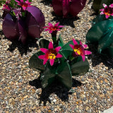 Handmade Metal Bisnaga Cactus with Flowers - Garden Art Decor (Dark Green)