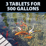 CrystalClear MuckOff, Natural Pond Muck Treatment, Water Garden, Fountain & Bird Bath Sludge Remover, Living Beneficial Bacteria Clarifier with Enzyme, Fish, Aquatic Animal, & Pet Safe, 24 Tablets
