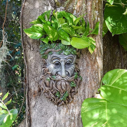 Arcadia Garden Products Large Whimsical Tree Face Planter, 8"x11.8" Outdoor Tree Hugger, Old Man Spirit Sculpture for Garden Art Decor, Birdfeeder, Hangs on Trees, Fences or Walls, Elderberry