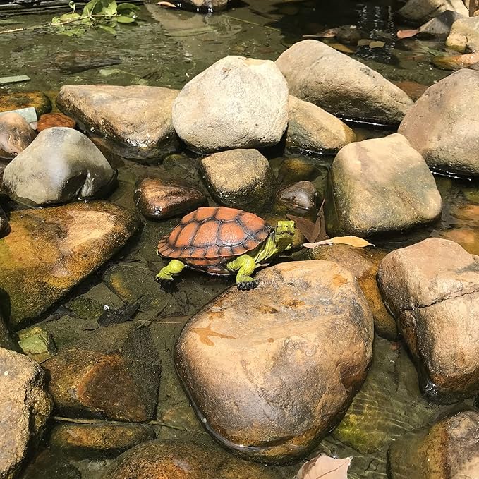 Turtle Tortoise Sculptures, Garden Patio Lawn Yard Art Resin Decorations Outdoor Garden Decor, 8.6 inches Turtle Yard Decorations Outdoor, Full Color 1