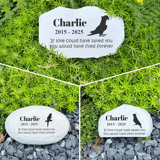 Personalized Pet Memorial Stone - Loss Gift for Dog - Parrot Headstone - Memorial Plaque Outdoor - Parrot Tombstone - Stepping Stone Personalized