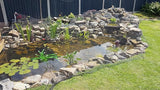 Pond H2o Black Premium Pond Protection Cover Net with Fixing Stakes 20 Ft by 13 Ft (6m x 4m) Heavy Duty Woven Fine Mesh Garden Netting Cover for Leaves, Protects Koi Fish
