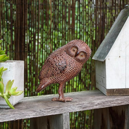 Saw Whet Owl