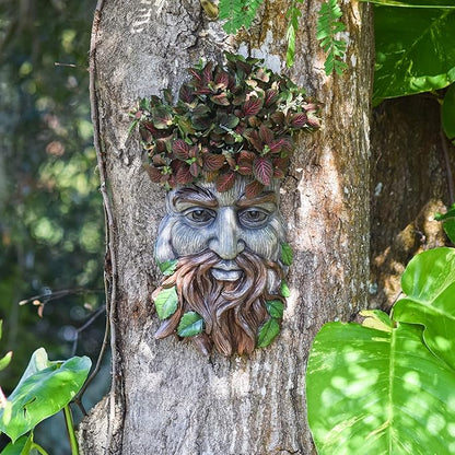 Arcadia Garden Products Large Whimsical Tree Face Planter, 7.5"x11.8", Outdoor Tree Hugger, Man Spirit Sculpture for Garden Art Decor, Birdfeeder, Hangs on Trees, Fences or Walls, Hawthorn