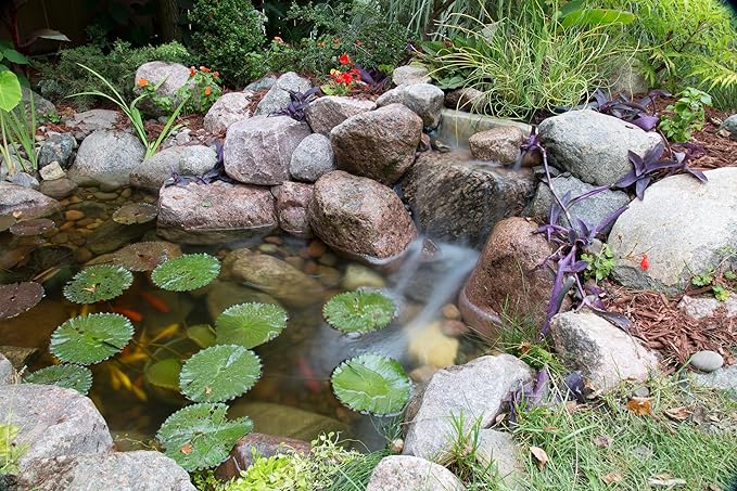 Aquascape DIY Backyard Pond Kit 8 x 11 feet – Complete Water Garden Ecosystem with Pump, Skimmer, and Filter, 99765