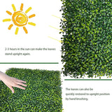 ODTORY Artificial Boxwood Roll: 40x120 in (33.5 sqft) UV-Anti Faux Ivy Boxwood Hedge Leaf Grass Wall for Patio Balcony Privacy, Garden, Backyard Greenery Wall Backdrop and Fence Decor