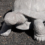 XBrand 30.3" L Light Grey Polystone Turtle Statue for Indoor or Outdoor Garden Decor