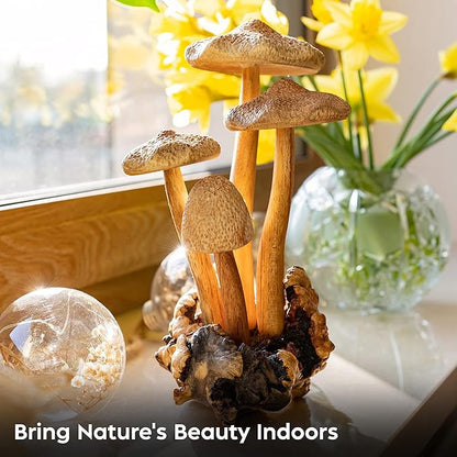 Curawood Wooden Mushrooms Sculpture for an Ornate Touch - Handcrafted 9" Mushroom Statue with Intricate Details - Authentic Garden Mushrooms Decorative Centerpiece - Artisan Cottagecore Mushroom Decor