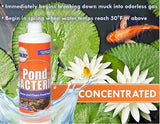 Pondworx Pond Bacteria - Concentrated & Formulated for Water Features - Safe for Koi - 16 Ounces & Treats up to 2,500 gallons of Water