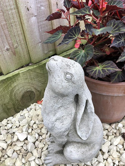 Burgess Home & Garden Rabbit Gazing Hare Stone Statue Animal Bunny Outdoor Decoration Lawn Garden Ornament Made in UK