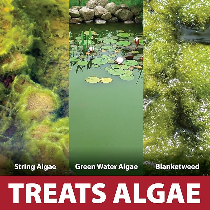 The Pond Guy InstaFix Algae Control, Outdoor Water Garden, Fountain & Birdbath Algae Solution, EPA Registered Liquid Algaecide, Control Green Water & String Algae, Bird, Fish & Pet Safe, 1 Gallon