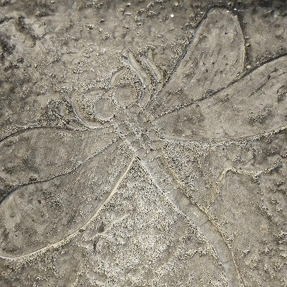 BestNest Set of 2 Athens Pre-Aged Dragonfly Stepping Stones – 12"x12" Concrete Garden Pavers with Raised Insect Detail – Gray Stone Finish Outdoor Pathway Decor