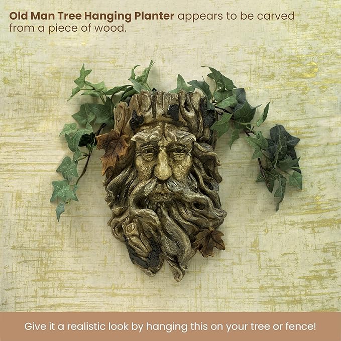 Bits and Pieces - 'Old Man' Tree Hanging Planter - Yard Decorations - Whimsical Tree Sculpture - Indoor/Outdoor Decoration - Garden Peeker Yard Art