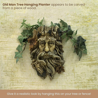 Bits and Pieces - 'Old Man' Tree Hanging Planter - Yard Decorations - Whimsical Tree Sculpture - Indoor/Outdoor Decoration - Garden Peeker Yard Art