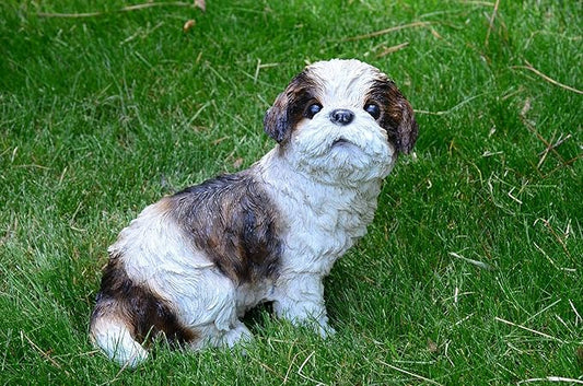Sue-Shih Tzu Puppy S by Michael Carr Designs - Outdoor Puppy Dog Figurine for gardens, patios and lawns (80093)