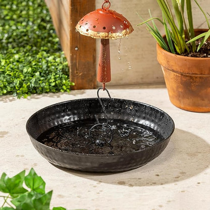 Evergreen Garden 14" Rain Chains Basin, Display Dish w/Chain, Rainwater Collection for Roof Gutter Downspout, Decorative Bowl Rain Chain Basin for Garden & Patio (Black Textured)