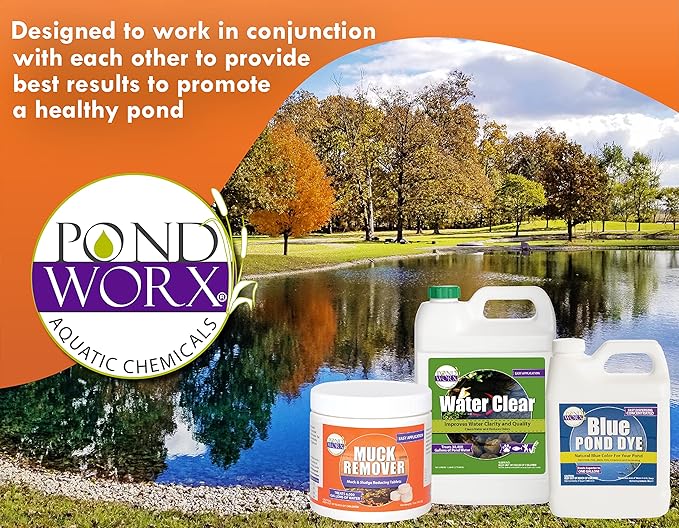 Pond Worx Pond Bacteria - Concentrated & Formulated for Large Ponds, Water Features - Safe for Koi - 32 Ounces & Treats up to a Quarter Acre Pond